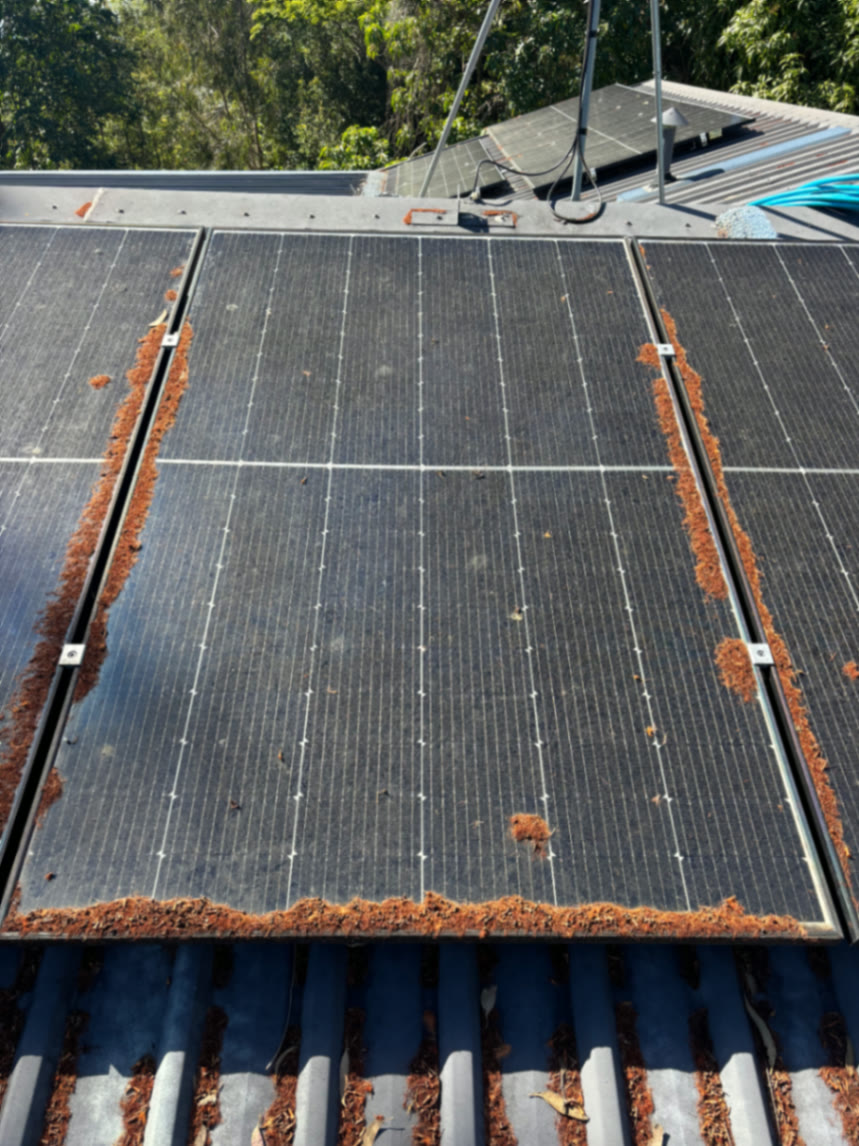 Bark and leaf litter piled along the edges of the panels
