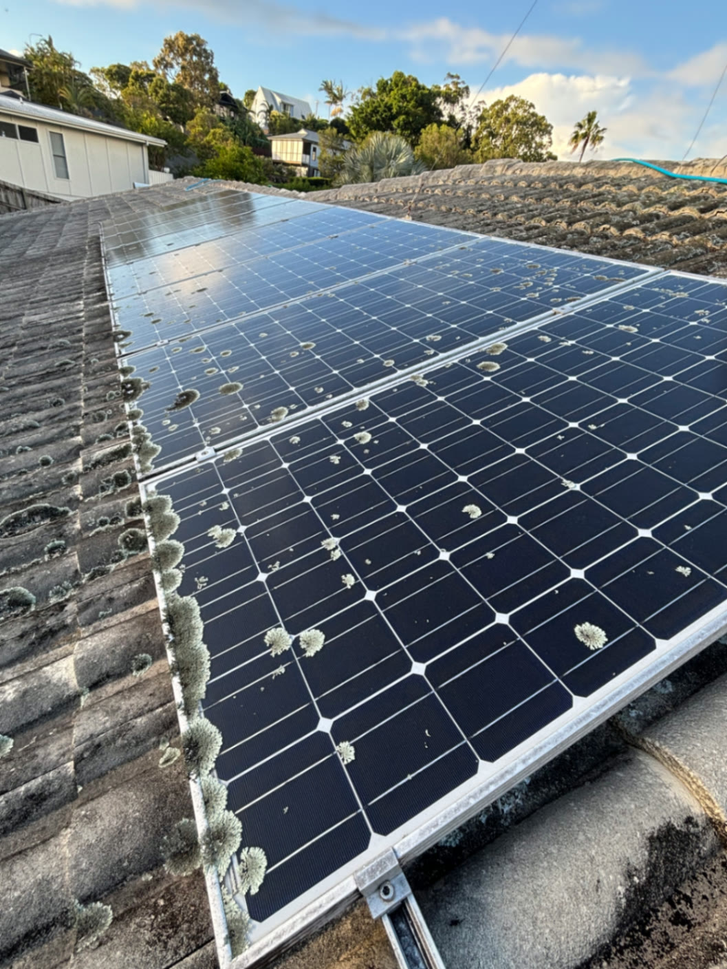Lichen and grime growing on a neglected solar array